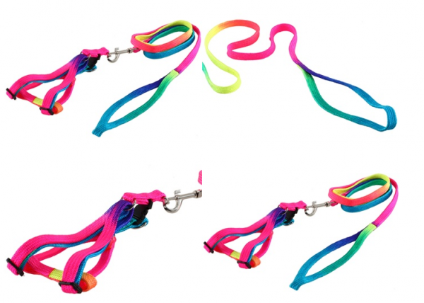 Colorful Dog Leash 100 cm Pct 10 unid